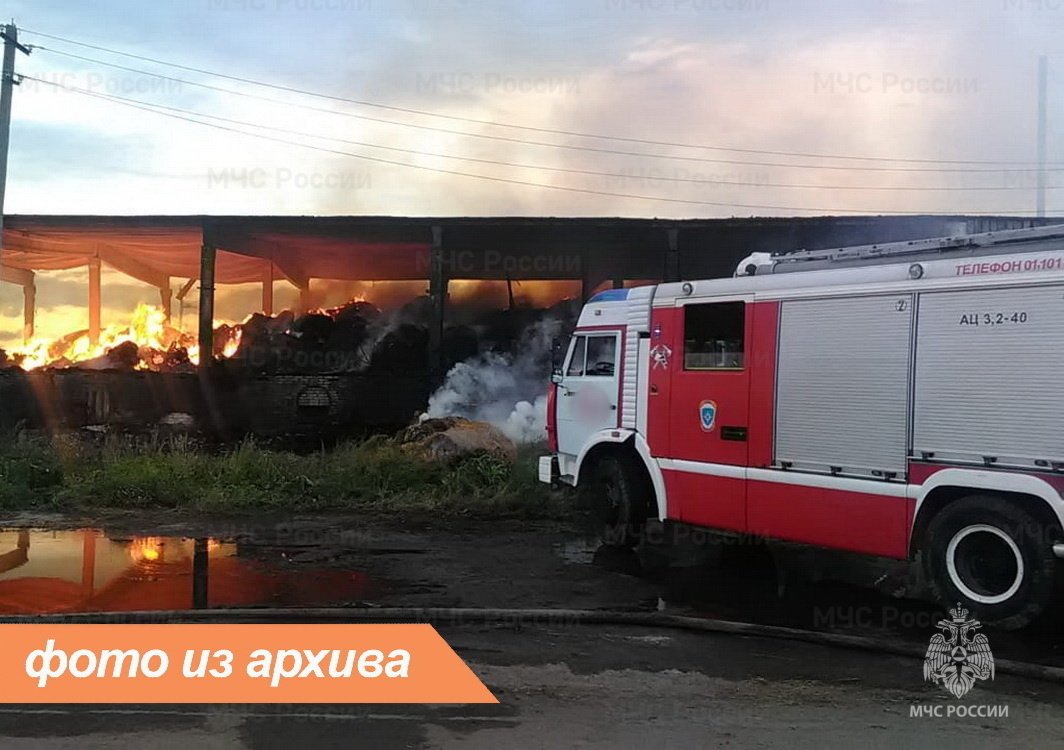 Пожарно-спасательные подразделения Ленинградской области ликвидировали пожар в Выборгском районе
